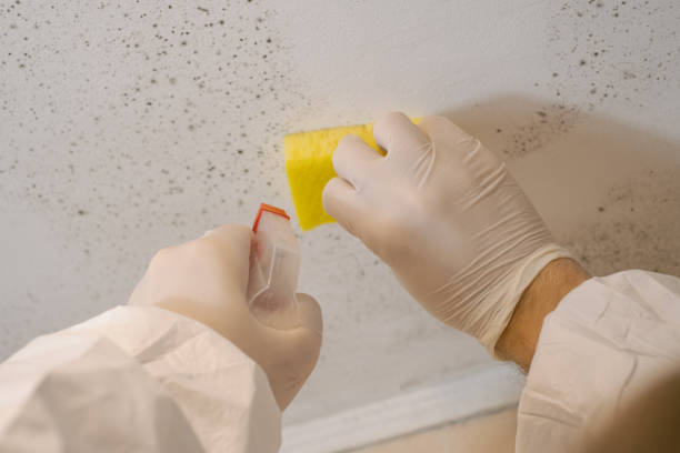 Forensic Mold Investigation in Roberts, WI